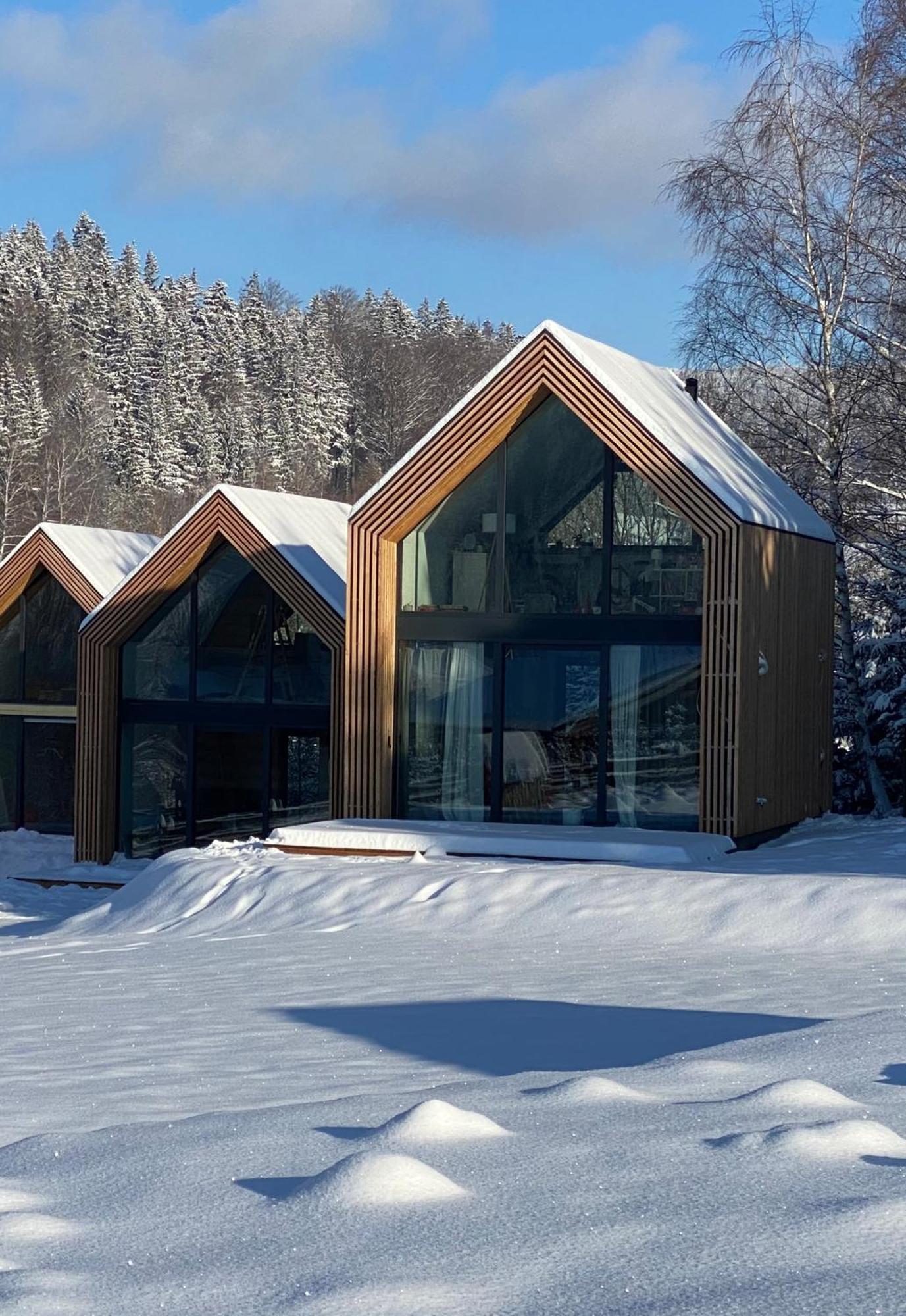 Domki Pod Lasem - Domek Sosnowy Строне-Слёнске Экстерьер фото
